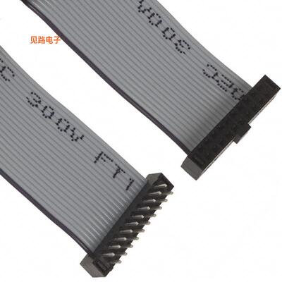 TCMD-10-T-06.00-01-N -[全新CABLE ASSEM 2MM 20POS M-F 6