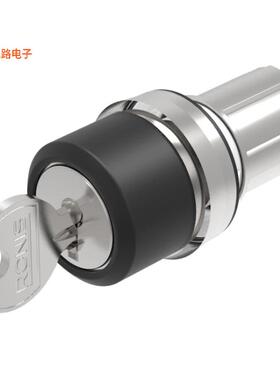 45-290J.2000.111 -[全新CONFIG SW BODY KEYLOCK NON-ILLUM]