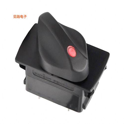 RV24D2CC0CB-K4C -[全新SWITCH SELECT 2POS DPDT 20A 12V]
