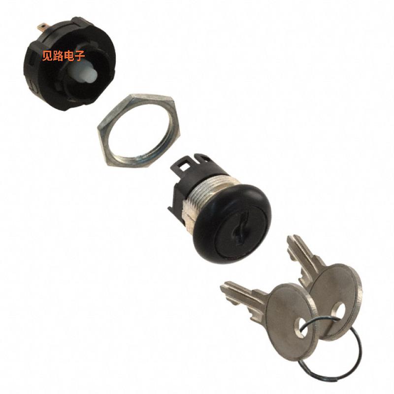 H1011U2F805NQ -[全新SW KEY 2POS SPDT 12A 125V 5PC]