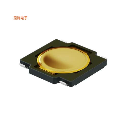 SWT0205-005510JSA -[全新TACTILE SWITCH, SPST-NO, 4.5 X 4]