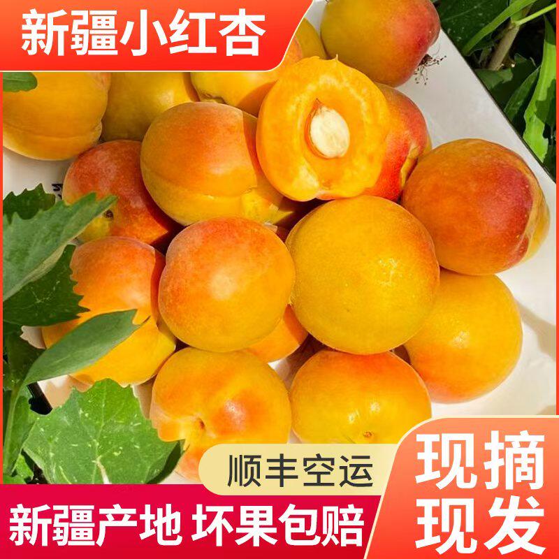 新疆小红杏新鲜阿克苏吊干杏水果当季包甜杏子胜小白杏顺丰包邮