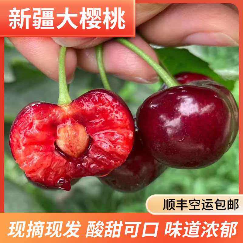 新疆大樱桃新鲜水果现货当季美早车厘子礼盒阿克苏特产整箱