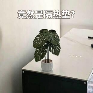 龟背竹防烫垫桌垫隔热垫耐高温餐桌杯垫锅垫创意个性仿真绿植摆件