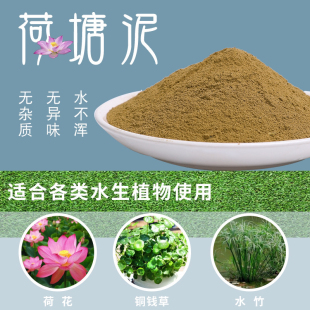 泥土荷塘泥碗莲睡莲专用塘泥铜钱草荷花淤泥河泥水生植物通用营养