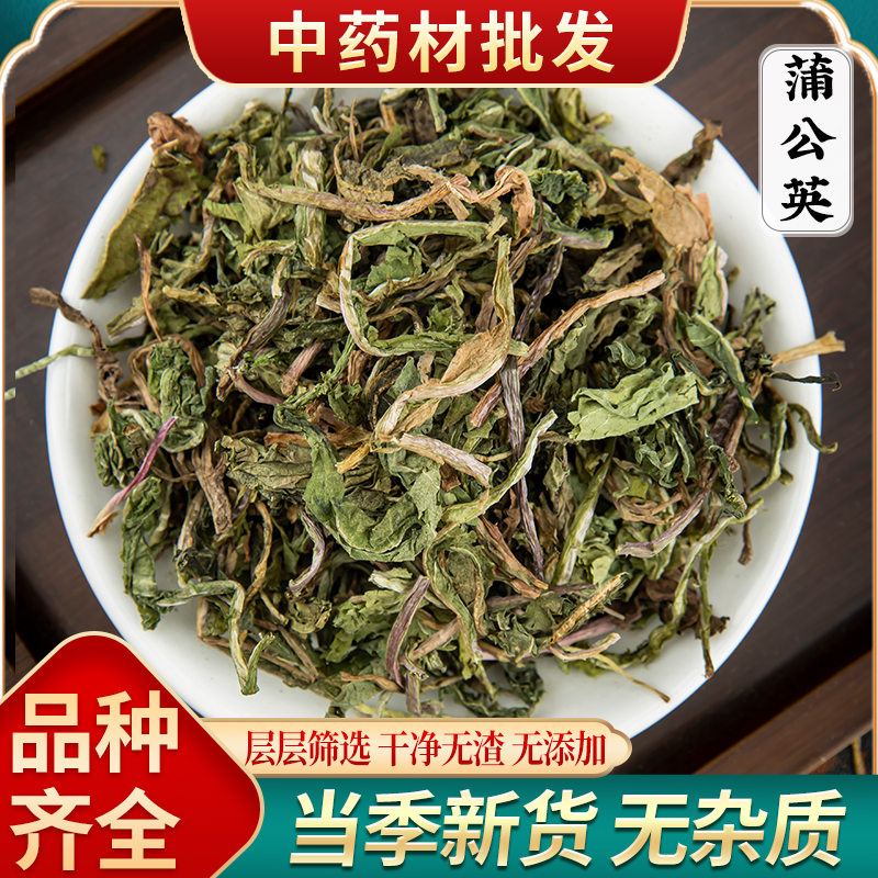精选野生特级蒲公英中药材包邮