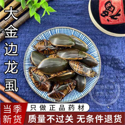 金边龙虱中药材500g克包邮黄缘