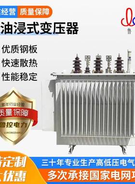 鲁控电力S1S20全铜三相变压器油浸式变压器源头厂家