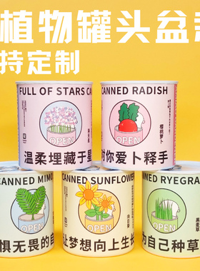 含羞草满天星向日葵种子罐头办公室情绪稳定创意儿童种植小花盆栽