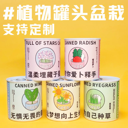 植物罐头DIY盆栽含羞草满天星向日葵儿童种植盲盒创意礼物可定制