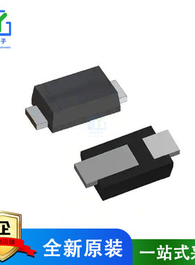 原装 SS10100HE-AU_R1_000A1 SOD-123HE, SKY