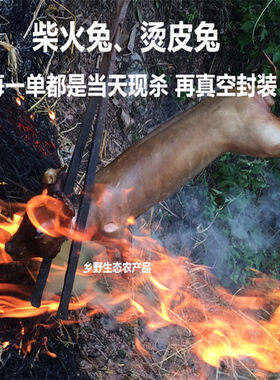 农家老兔子烫皮草兔新鲜兔肉整只