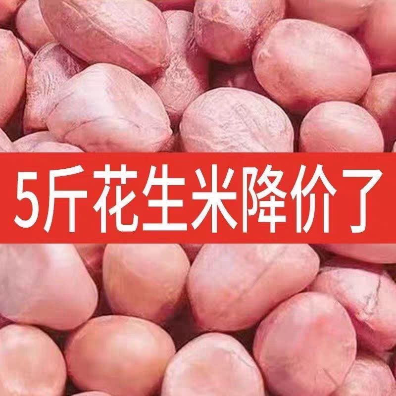 新鲜白沙大颗粒先剥花生米商用