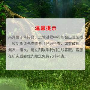 豪峰 陶瓷功夫茶具套装家用客厅小套泡茶简约干泡茶盘轻奢现代【