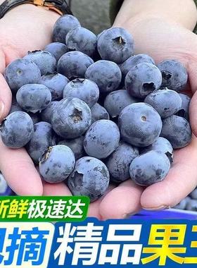云南蓝莓鲜果特大礼盒当季高山L25花香新鲜水果孕妇怡颗蓝梅整箱