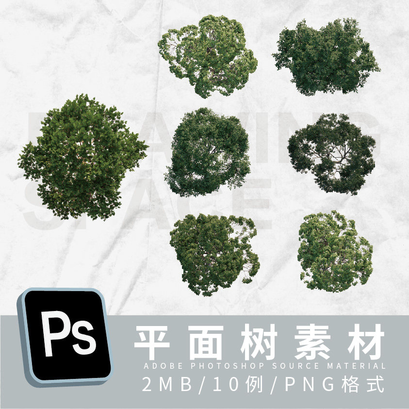 ps平面树10例png格