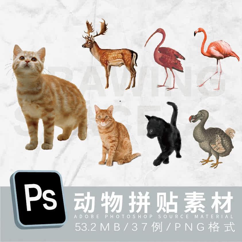 ps动物拼贴37例png格式