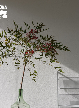 花气｜南天竹鲜切枝绿植水培盆栽花卉办公室内客厅装饰花束