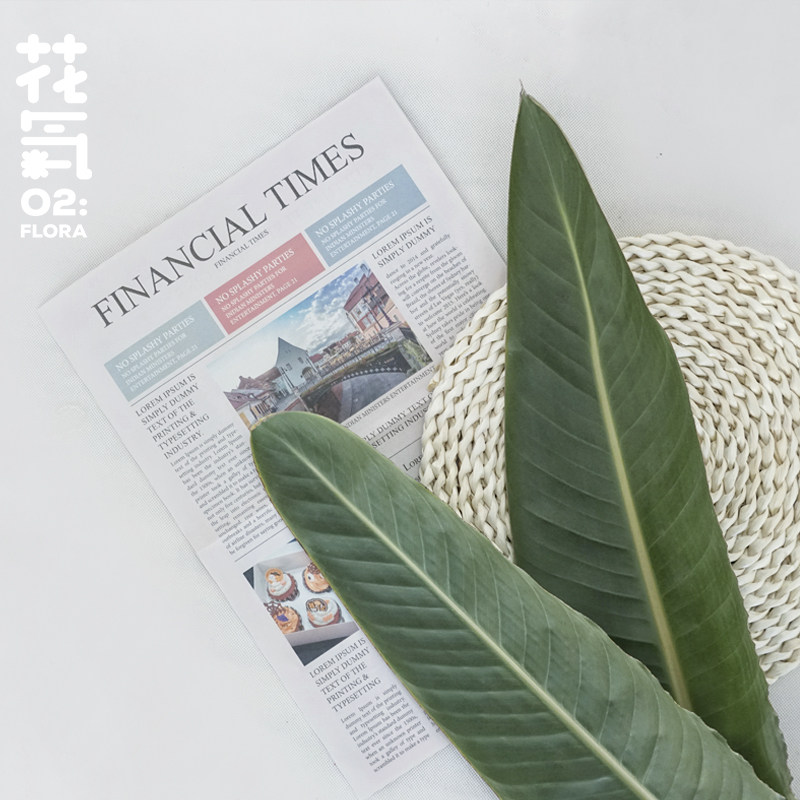 昆明家居装饰摆件鲜切花