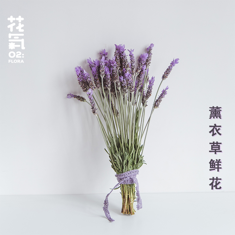 花气｜云南新鲜薰衣草鲜花基地直发家庭插花零售昆明同城速递