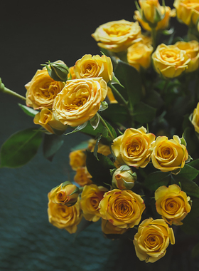 花气 | 明亮阳光色系柠檬黄色泡泡多头玫瑰街拍野餐毕业花束送人