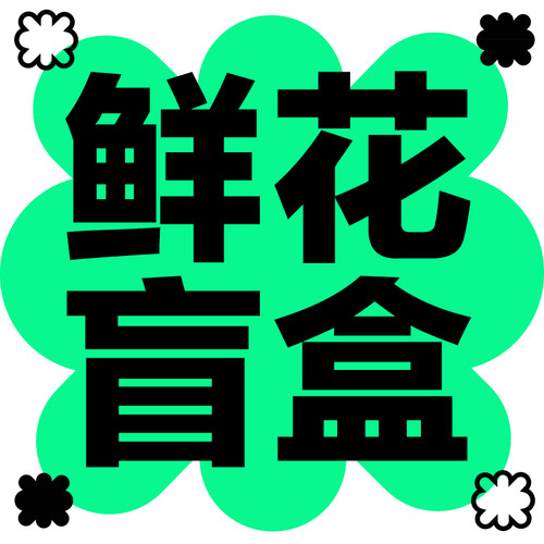 鲜花盲盒福袋当季随机搭配老客