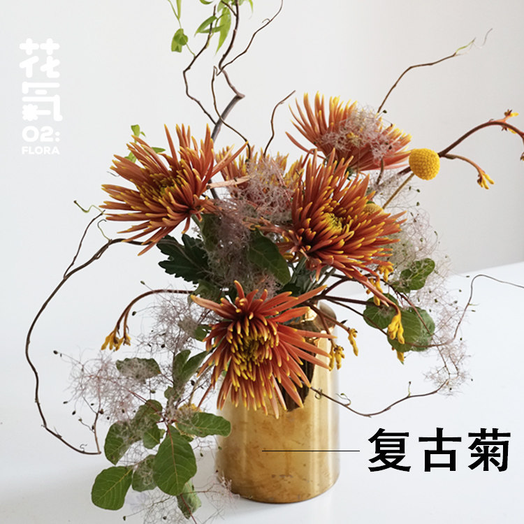 花气|烟花菊安娜菊新品种四季开花昆明鲜花限定家庭插花同城