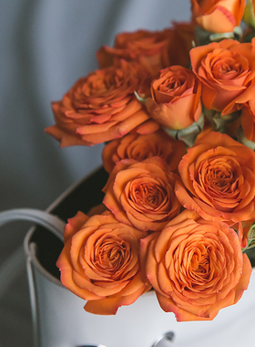 花气|秋天色系橙色泡泡多头玫瑰蔷薇油画感节拍野餐花束母亲节