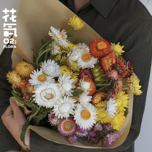 麦秆菊昆明鲜花家庭中秋节送礼