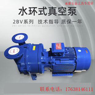 立始2BV系列水环式 真空泵工业用高真空水循环真空泵压缩机5110