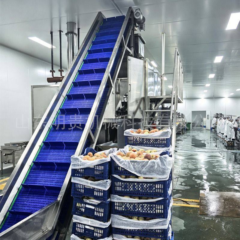 青椒茄子蒸汽去皮机 自动果蔬削皮机器 猕猴桃物理脱皮设备全自动,清洗/食品/商业设备,炸炉/油炸机,淘宝优惠券,粉丝福利购,淘宝优惠卷