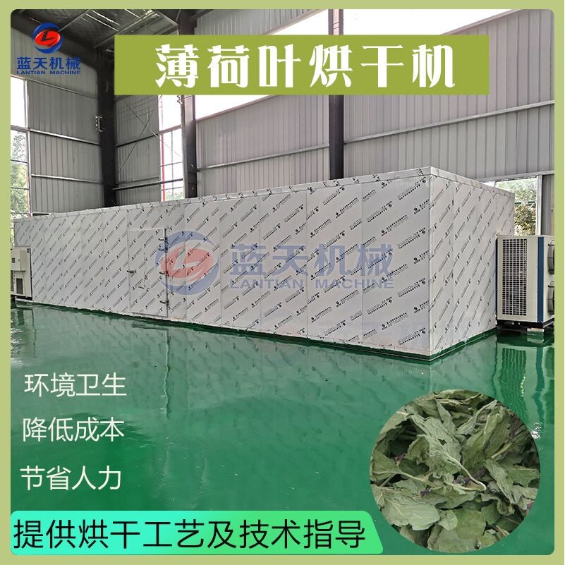 薄荷叶干燥设备 空气能水益母水薄荷整叶脱水烤房 大型薄荷烘干机