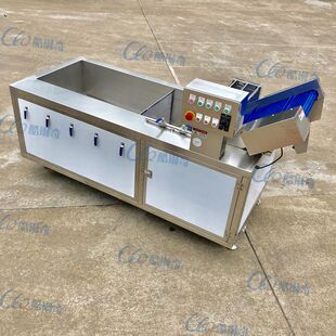 山楂清洗机 山里红山果清洗机 翻浪能杀菌去农药洗菜机 厂家直销