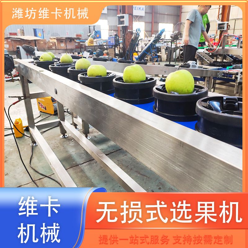 全自动玉菇甜瓜智能选果机 西瓜重量分选机 水果无损测糖选果机