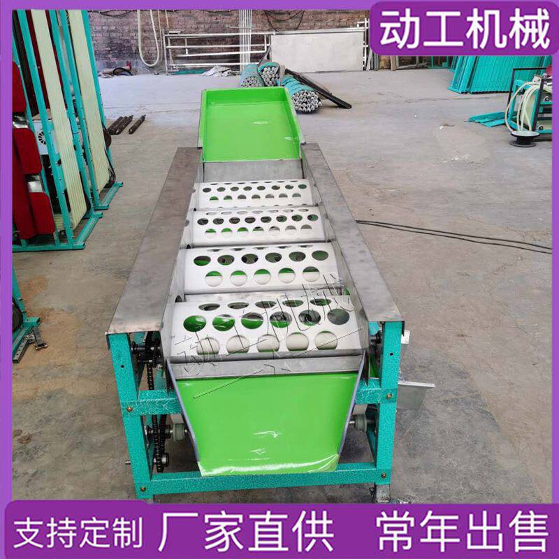 滚筒龙眼分级机脐橙马蹄分拣机 商用车厘子分拣机 工业拣果机