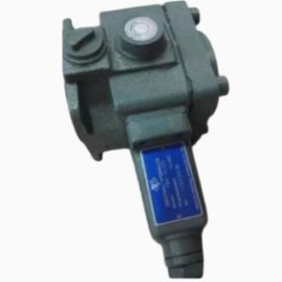 25RA0I100A1液压泵VUP 23泵头 GREATWALL叶片泵IPV2V3 原装