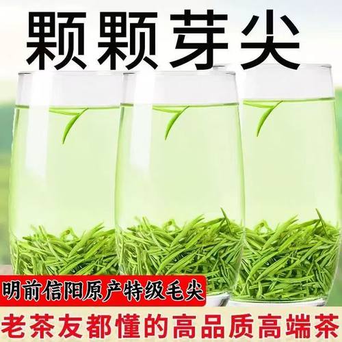 信阳毛尖茶叶2025新茶叶