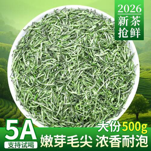 信阳毛尖2026新茶雨前高山嫩芽