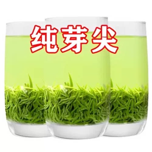 信阳毛尖茶叶新茶高山嫩芽500克