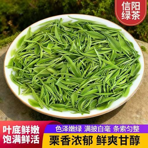 信阳毛尖茶叶2025新茶叶
