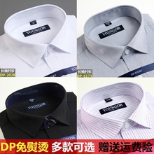 纯棉正品 免烫商务休闲宽松正装 中青年纯白色衬衣 雅戈尔衬衫 男长袖