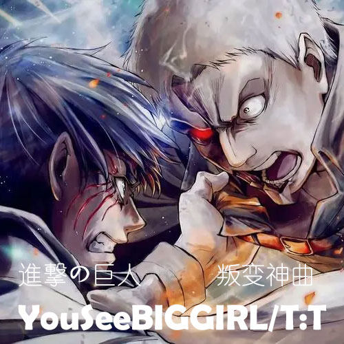 YouSeeBIGGIRL/T:T叛变神曲 扒谱制谱服务 长笛谱 小号 小提琴谱