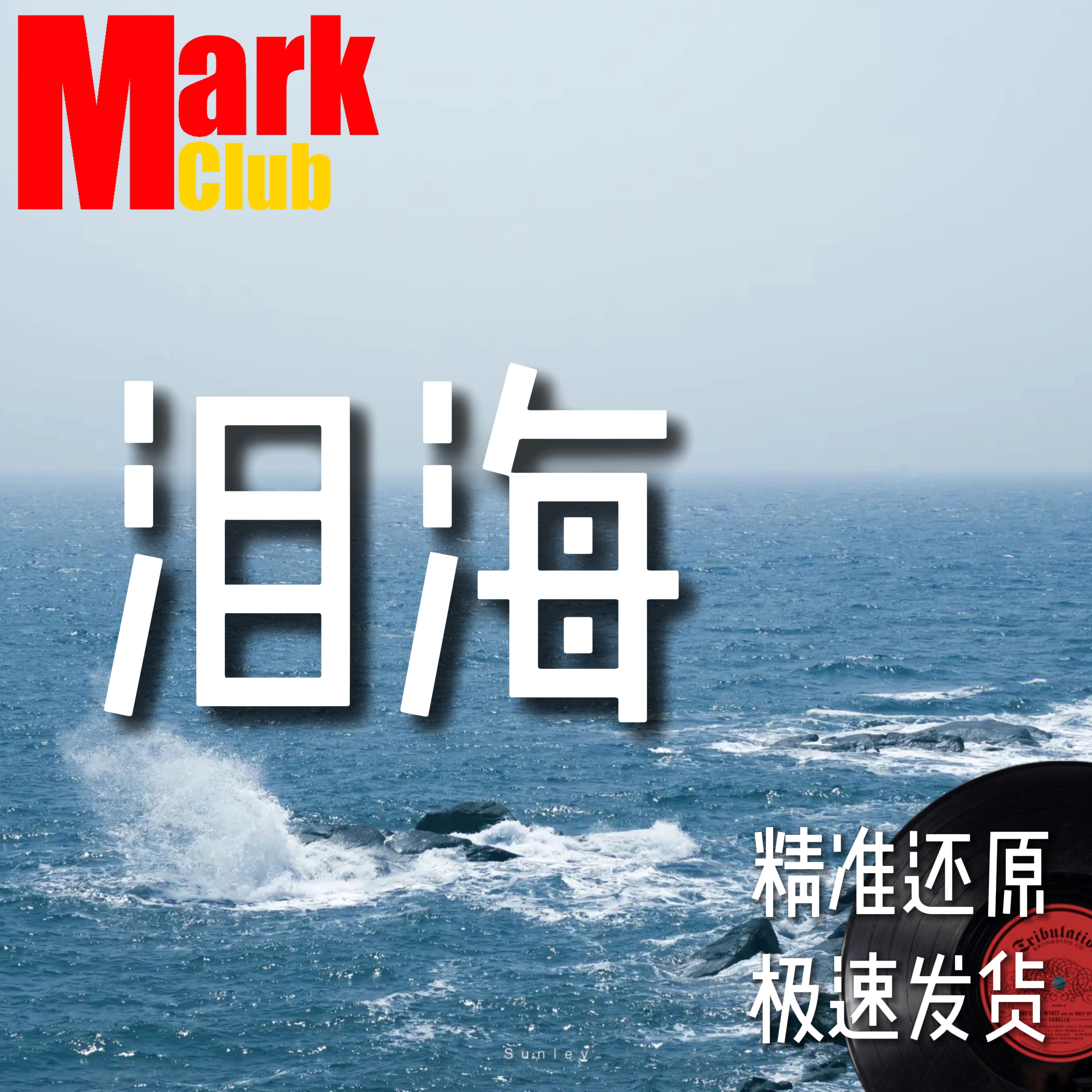 泪海 许茹芸 扒谱定制 萨克斯谱 单簧管 长笛 小号 小提琴 伴奏