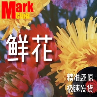 鲜花 回春丹 扒谱服务 萨克斯谱 单簧管 长笛谱 小号 小提琴 伴奏