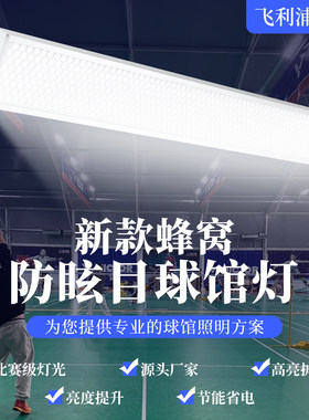 LED蜂窝防眩目羽毛球馆专用灯