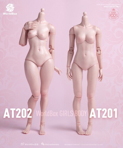 Worldbox 耐操 1/6 AT202 肥腿版女素体  可动兵人偶现货