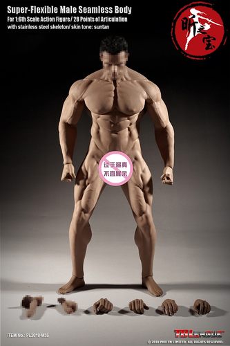 TBLeague PL2018-M35 无头钢骨 强壮肌肉型身材 包胶肌肉 男素体