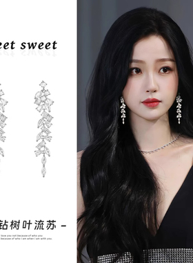 遇见饰品meet流苏耳环2025新款爆款高级感夸张耳坠气质新娘耳饰女