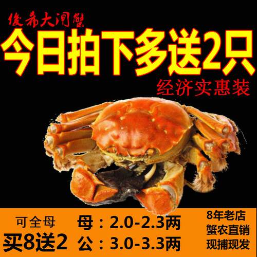【精品礼盒装】固城湖大闸蟹鲜活蟹公蟹3.3-3两全母蟹2.3-2两10只