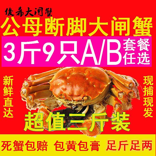 固城湖大闸蟹鲜活蟹螃非全蟹公蟹母蟹螃蟹鲜活螃蟹超大精品残蟹